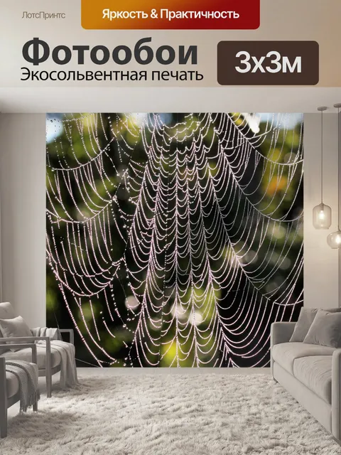 Фотообои Sparkling Spider Web