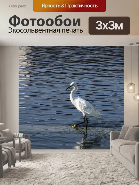 Фотообои Прогулка по снежному бегу
