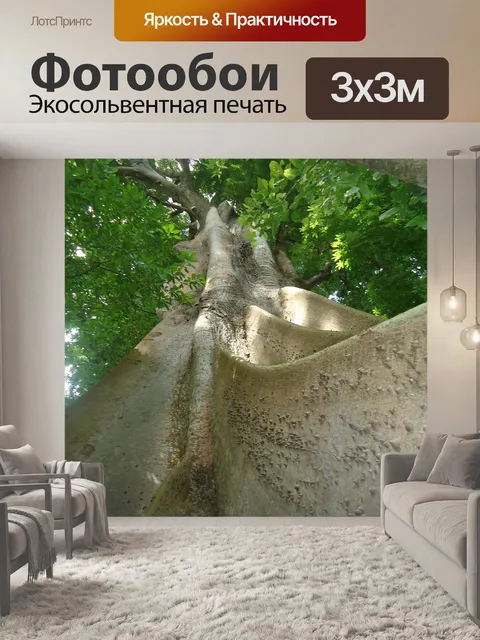 Фотообои Дерево