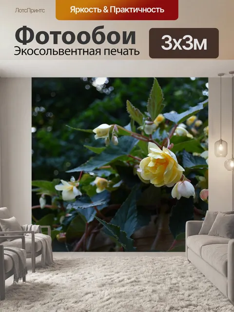 Фотообои Цветы