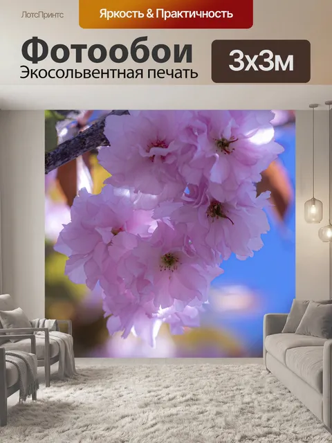 Фотообои Китайские сакуры