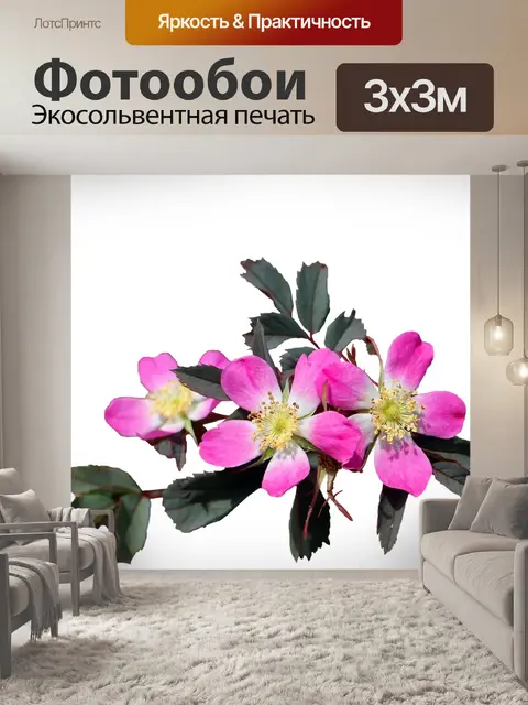 Фотообои Цветы