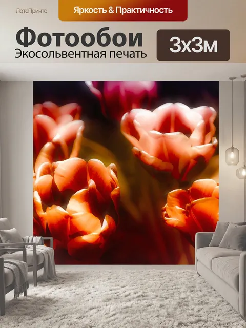 Фотообои Тюльпаны