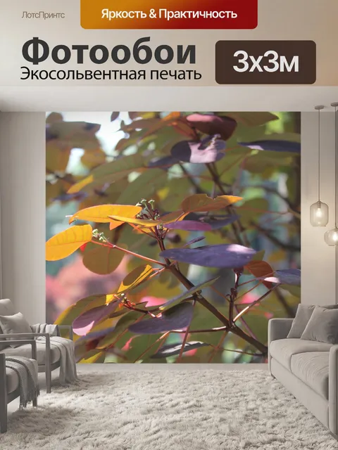 Фотообои Листы