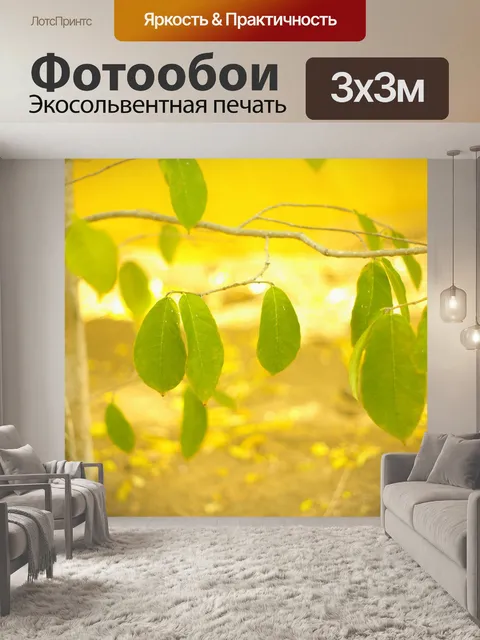 Фотообои Листья