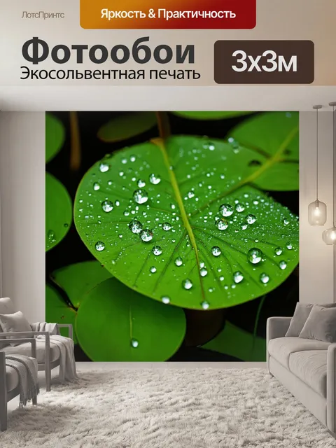 Фотообои утренняя роса сверкает на листьях водных растений, превращая их в маленькие драгоценные камни, отражающие свет
