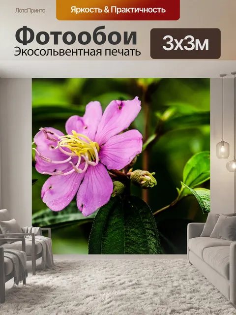 Фотообои Цветы