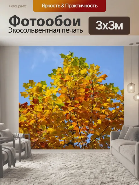 Фотообои Клен