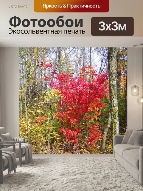 Фотообои Осенние деревья
