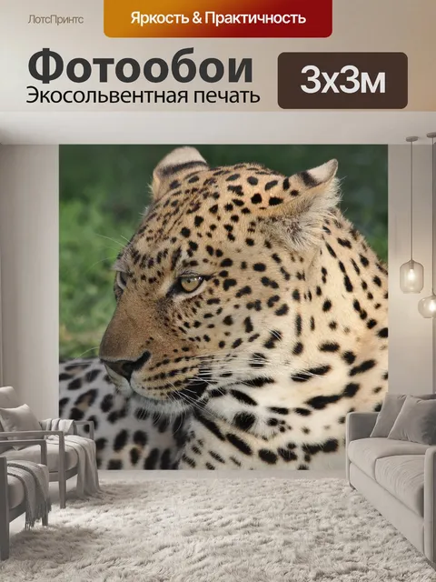 Фотообои Дикая природа