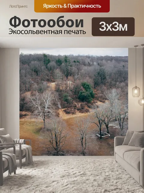 Фотообои Деревья
