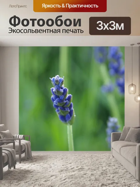Фотообои Лаванда