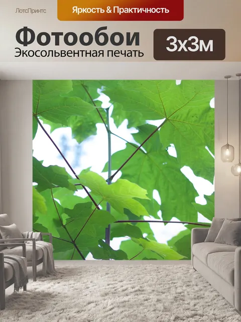 Фотообои Глядя вверх