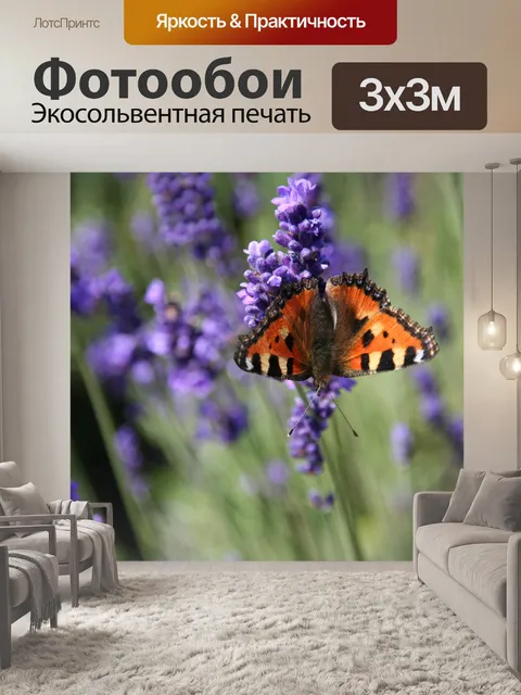 Фотообои Бабочка на лаванды