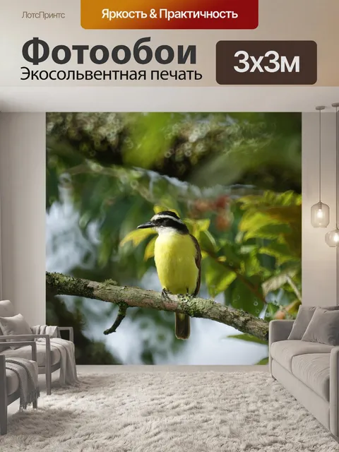 Фотообои Пейзаж
