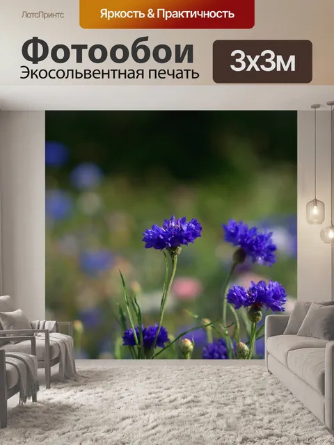 Фотообои Цветок