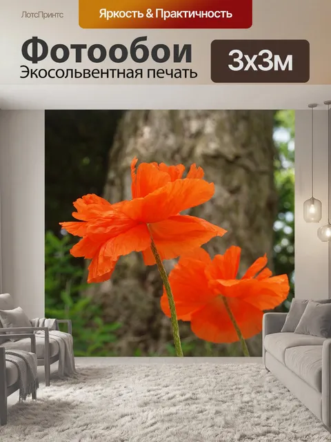 Фотообои Красные маки