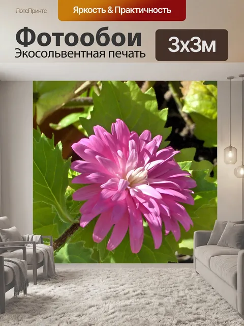 Фотообои Цветы моего сада - 62