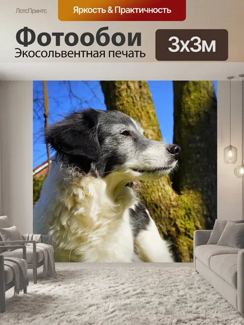 Фотообои Природа