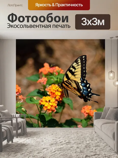 Фотообои Тигр Махаон бабочка
