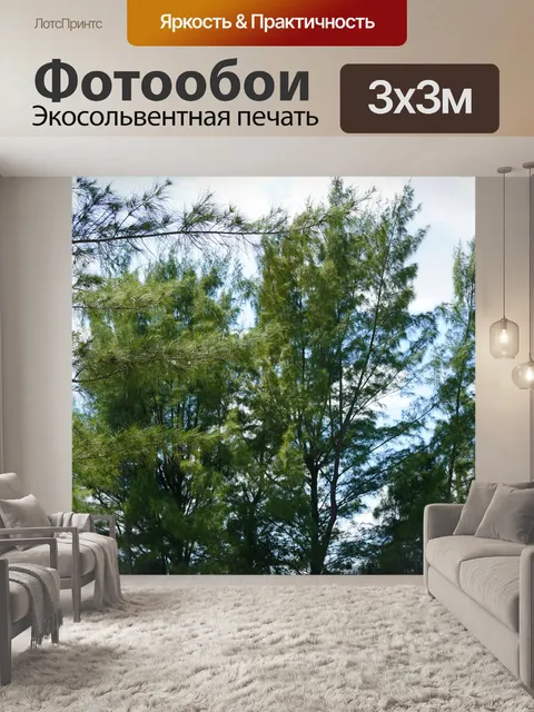 Фотообои Деревья