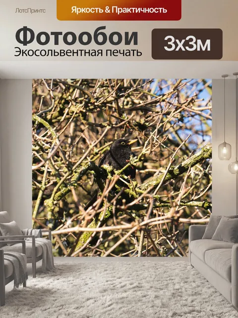 Фотообои Дерево
