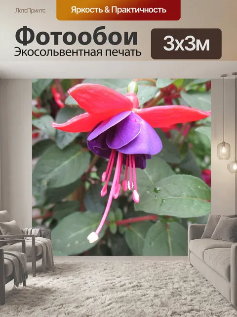 Фотообои Фуксия