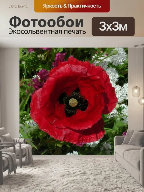 Фотообои Мак в саду
