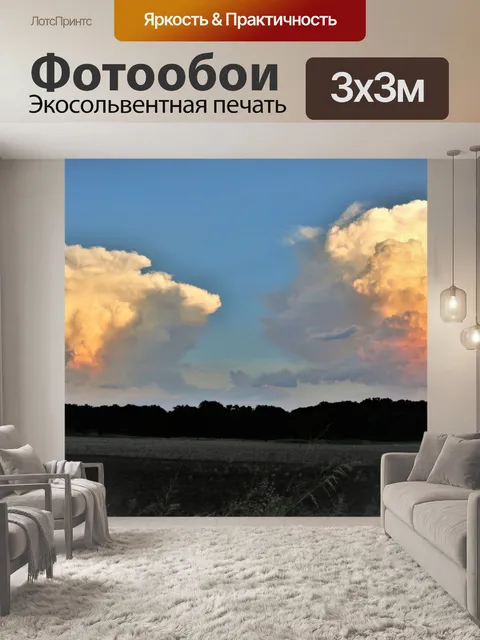 Фотообои Грозовые тучи над полем страны