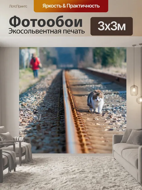 Фотообои Отслеживать