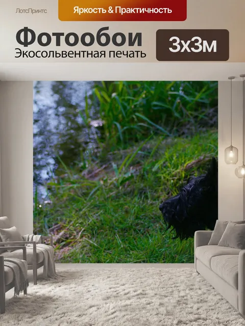Фотообои Собака