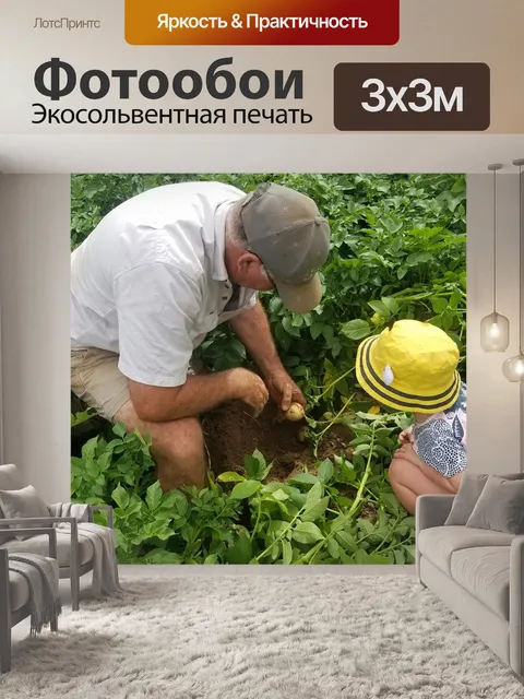Фотообои Ферма