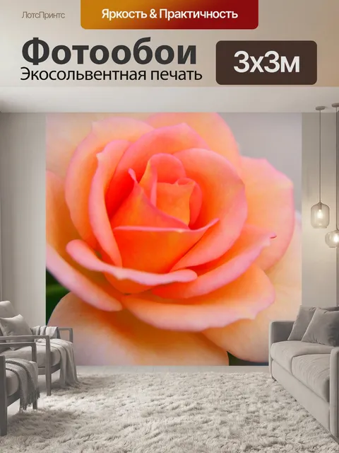 Фотообои Роза