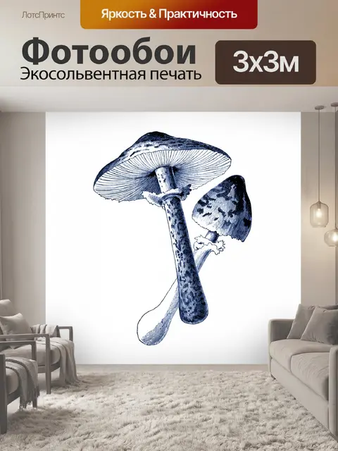 Фотообои Клипарт старинный грибной мотив