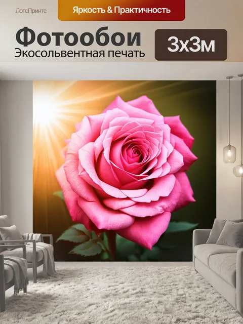 Фотообои крупный план розовой розы с многослойными лепестками, на которых видны утренние лучи света