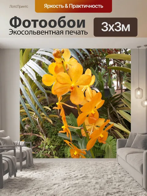 Фотообои Орхидея