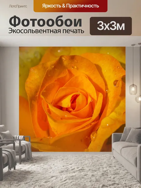 Фотообои Роза в саду