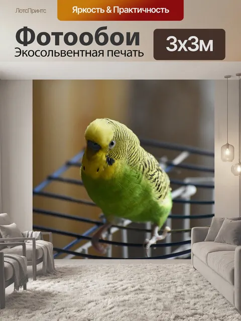 Фотообои Попугай