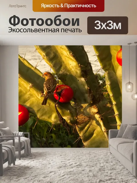 Фотообои Природа