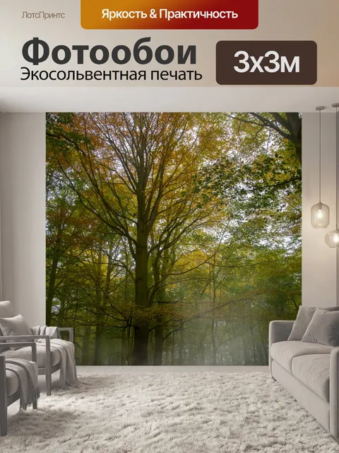 Фотообои Туманный лес