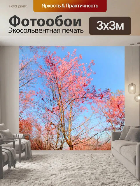 Фотообои Prunus cerasoides, дикая гималайская виш