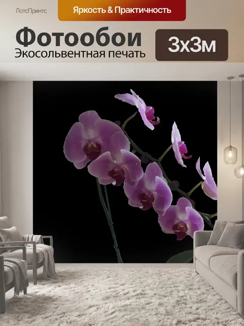 Фотообои Практичные