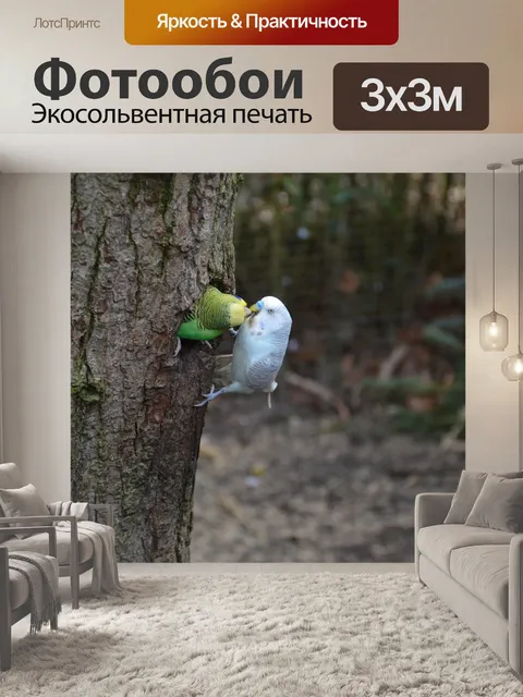 Фотообои Птицы