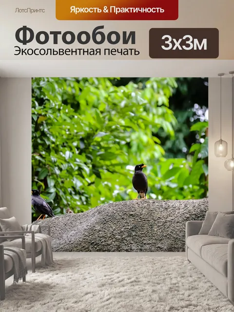 Фотообои Три птицы