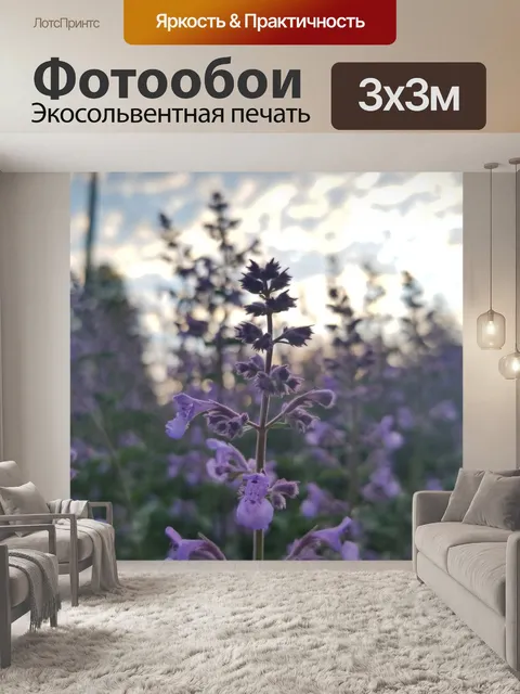 Фотообои Земля