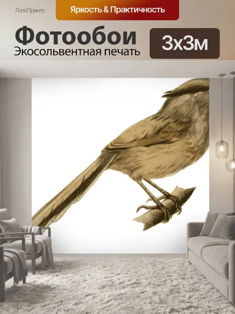 Фотообои Птица