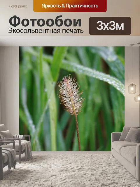 Фотообои Луг