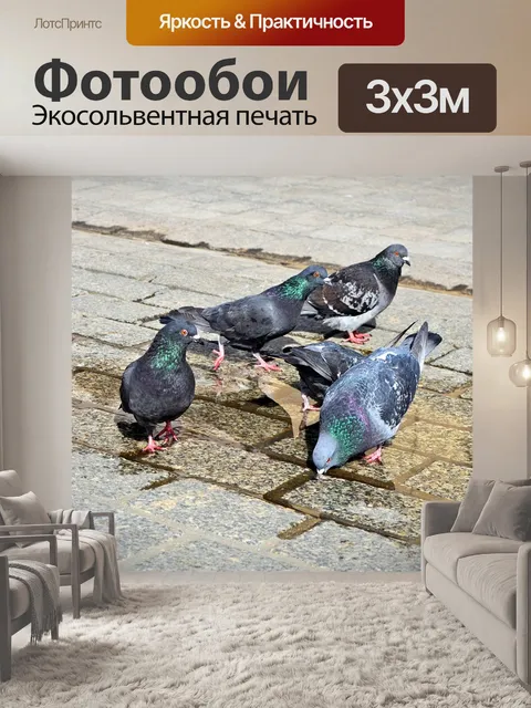 Фотообои Голуби