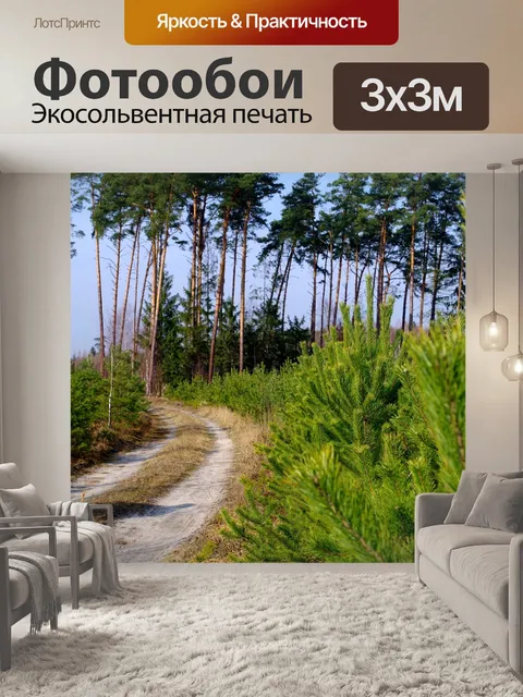 Фотообои Лес
