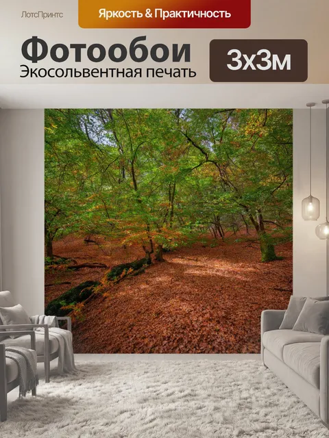 Фотообои китай, глубокий килинговый лес с ржавыми листьями и вековыми деревьями на фоне